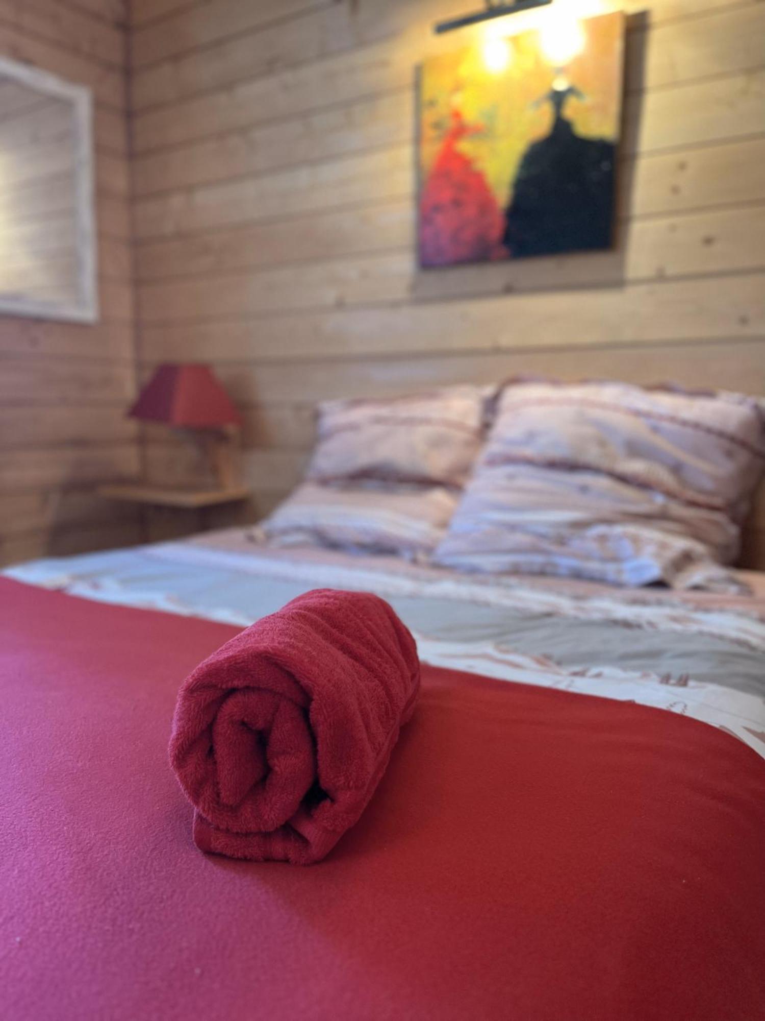 Chalet Des Myrtilles - Chalet Cosy Avec Vue Арет Экстерьер фото